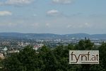 Bild Nr. 140894