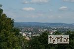 Bild Nr. 140895