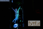 Image No. 158988