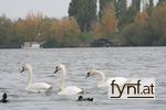 Bild Nr. 164993