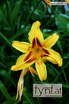 Image No. 200224