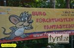 Bild Nr. 323852