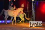 Bild Nr. 432329