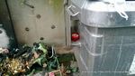 Bild Nr. 460273