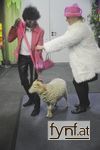 Bild Nr. 467287