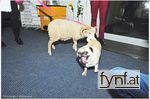 Bild Nr. 467841