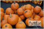 Bild Nr. 501530