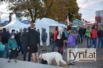 Bild Nr. 504003