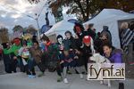 Bild Nr. 504009