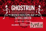 Bild Nr. 504438