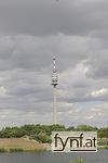 Bild Nr. 555290