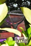 Image No. 597855