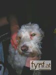 Bild Nr. 6045