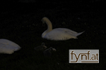 Bild Nr. 612514