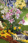Image No. 617098