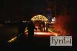Bild Nr. 629461