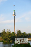 Bild Nr. 717785