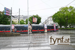 Bild Nr. 730895