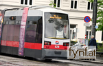Bild Nr. 730905