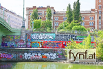 Bild Nr. 731895