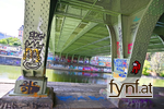Bild Nr. 731897