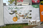 Bild Nr. 735945