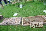 Bild Nr. 736572