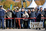 Bild Nr. 740526