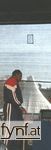Bild Nr. 99540